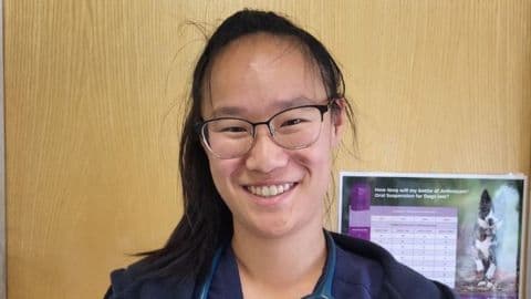 Cutting Edge vet Holly on making the move to ECC – hero
