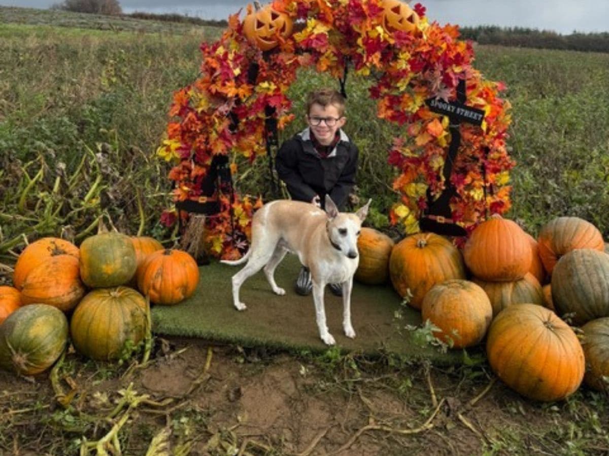 From the brink of death to trick-or-treat: Boo’s incredible… – body