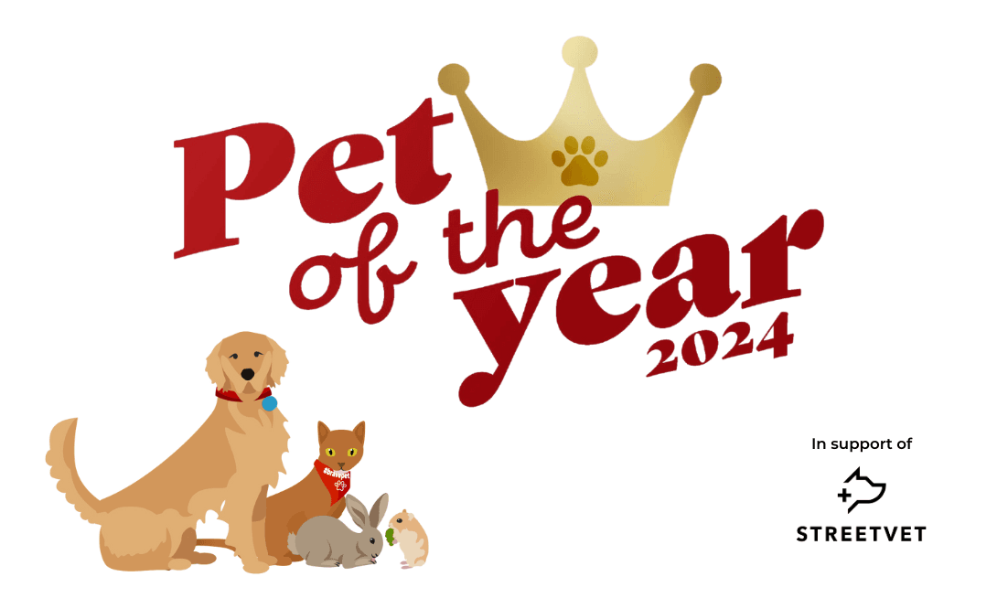 Morgan, Vets Now Pet of the Year 2024 winner
