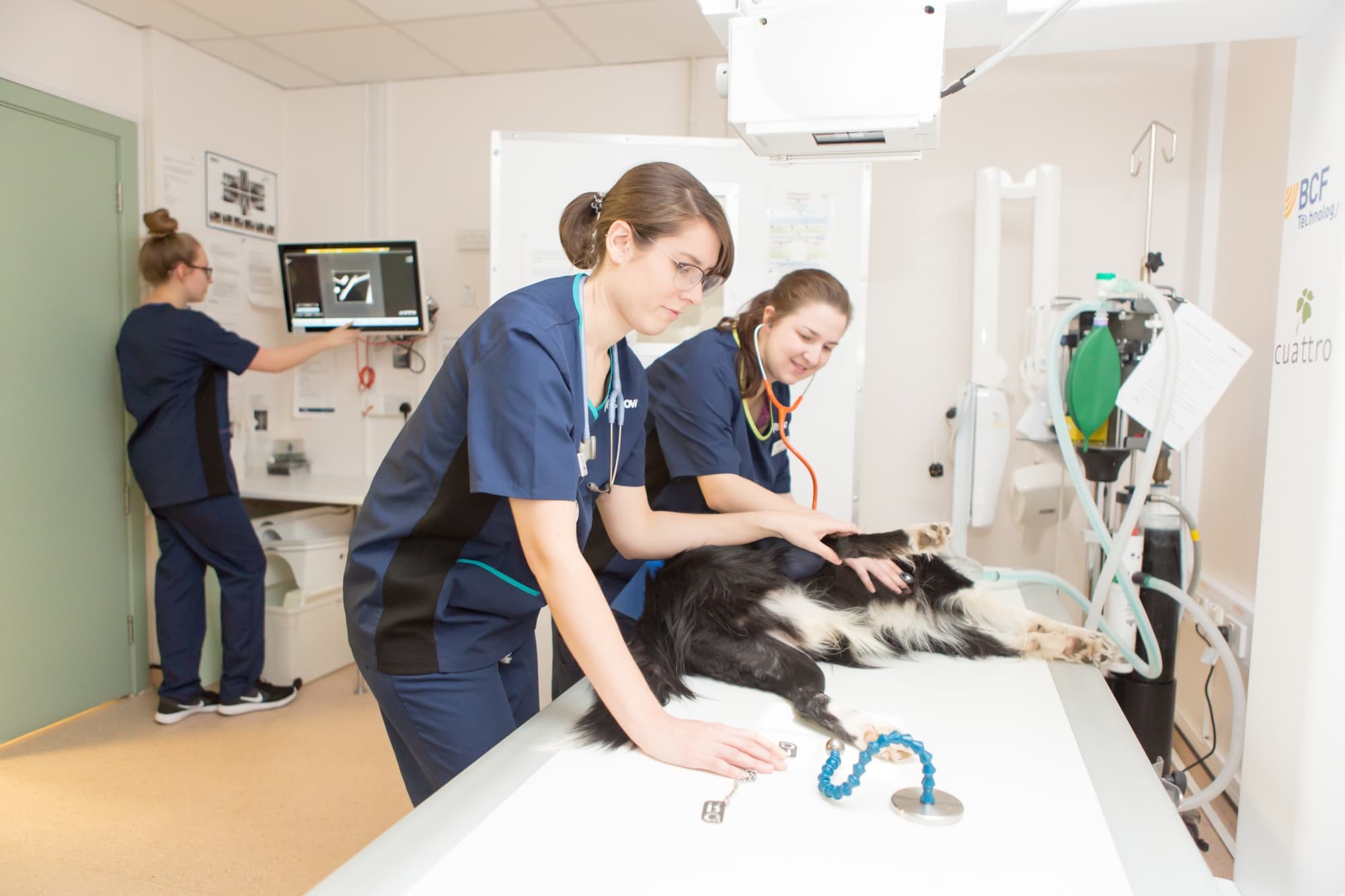 Vets Now hospital in Manchester
