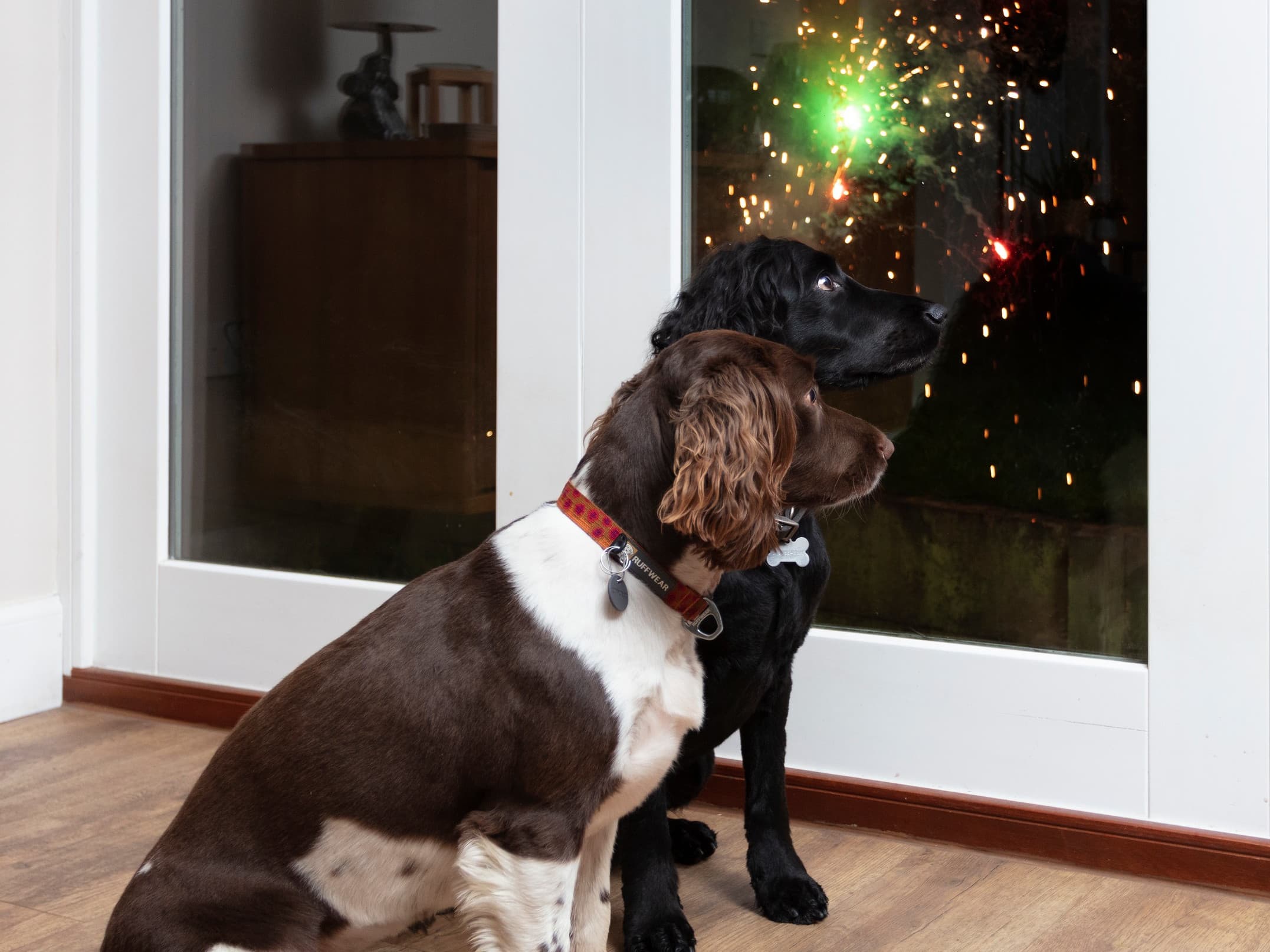 Vets-Now-Fireworks-31