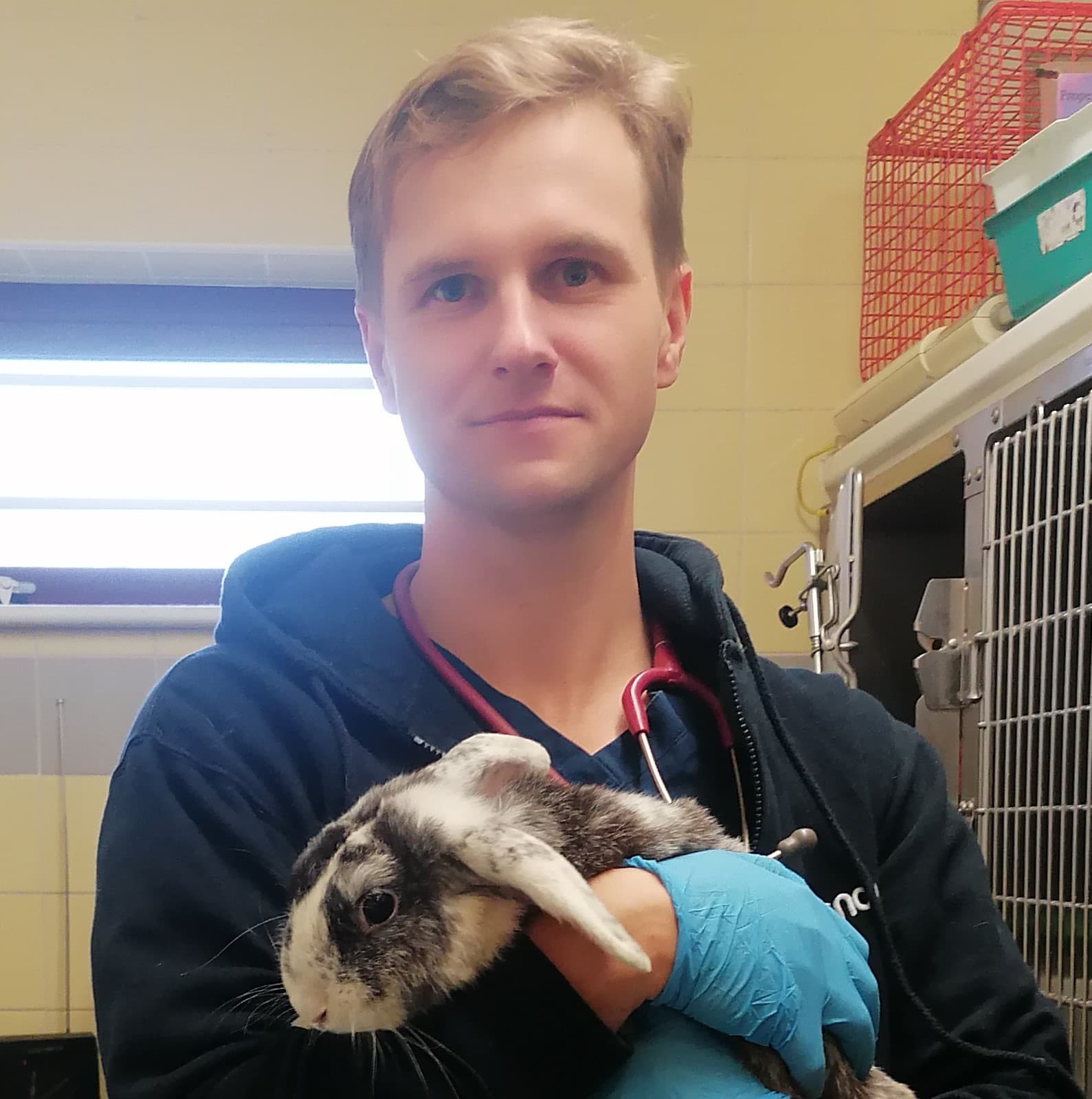 How ECC offers vet Maciej the perfect work-life balance – body