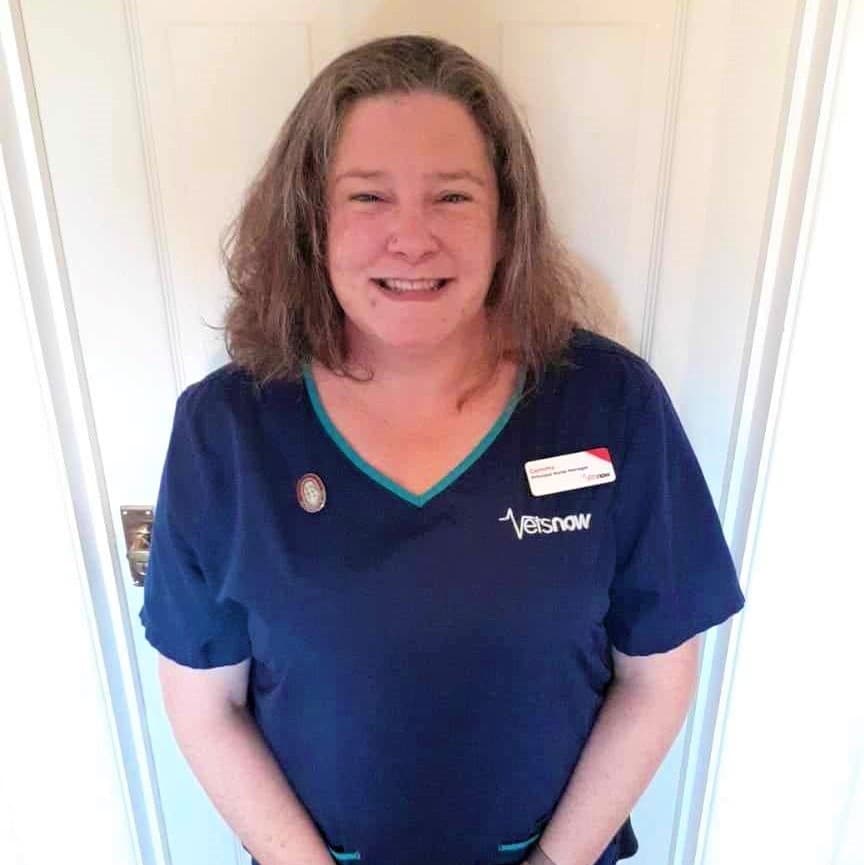 Vets Now's new ‘Enhancing the Nurse Role’ programme – body