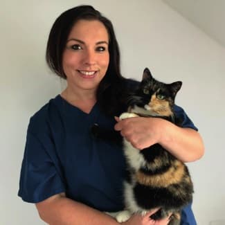 From courtrooms to clinics: How vet, Yasmin Amer, blended… – body