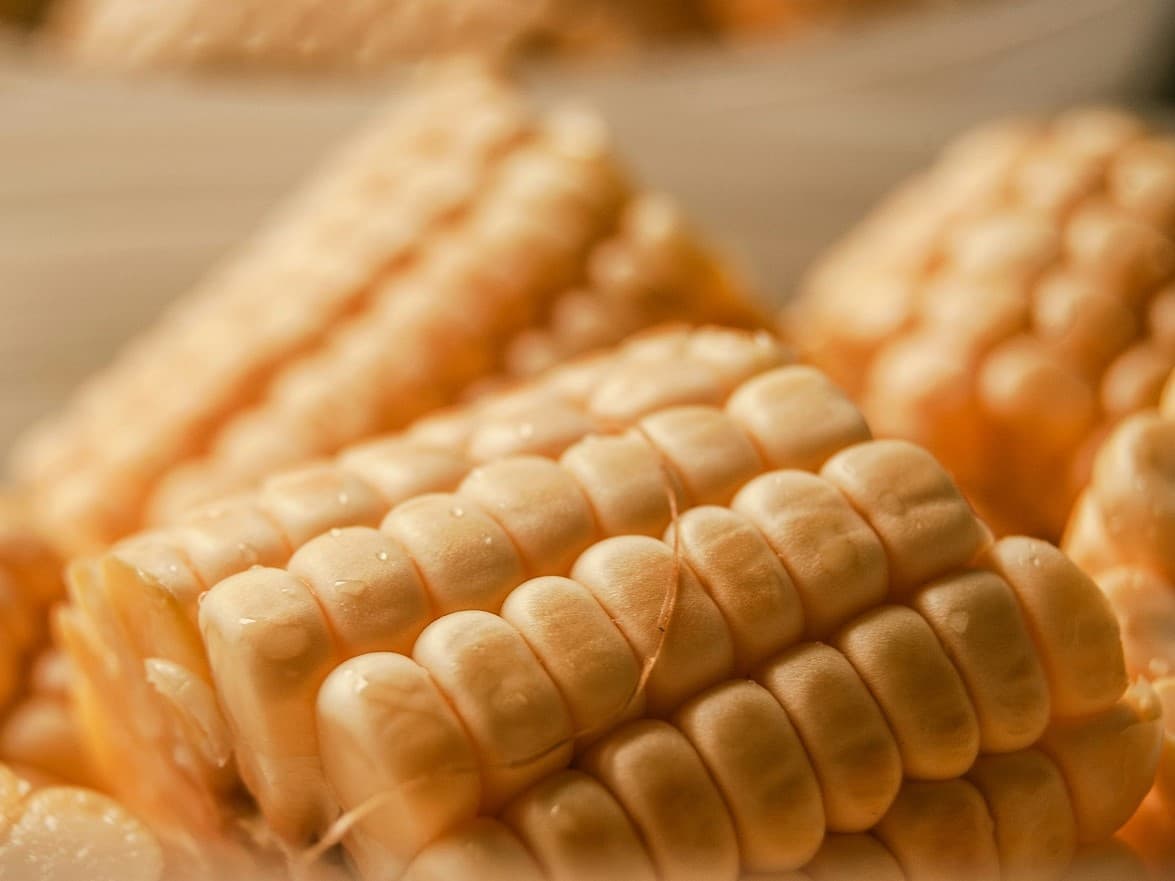 Corn on the cob