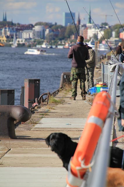 vets-now-fishing-hooks
