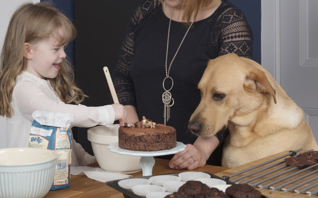 Dog-ate-chocolate-5-e1542299053818-1270x792