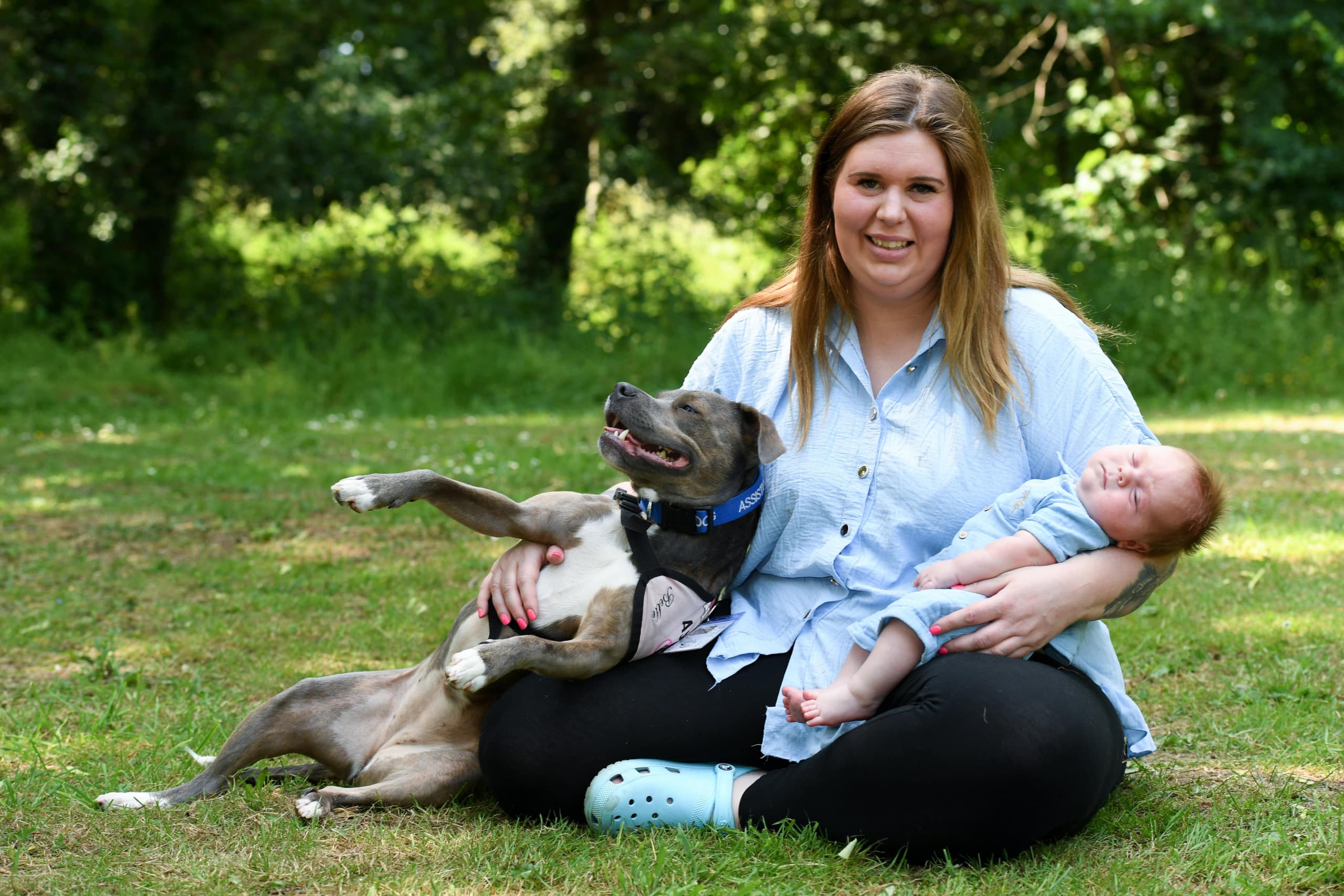 Meet our 2023 Pet of the Year, Belle the staffie – hero