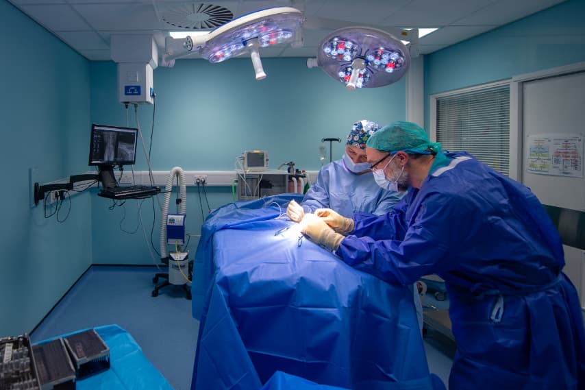 vet surgery