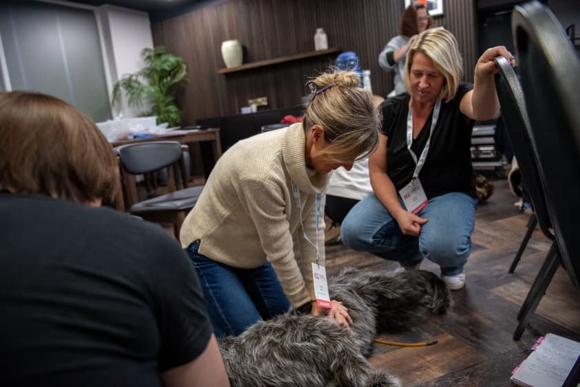 vet training
