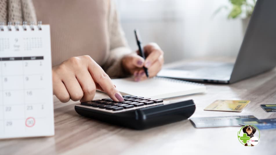 payment-calculator