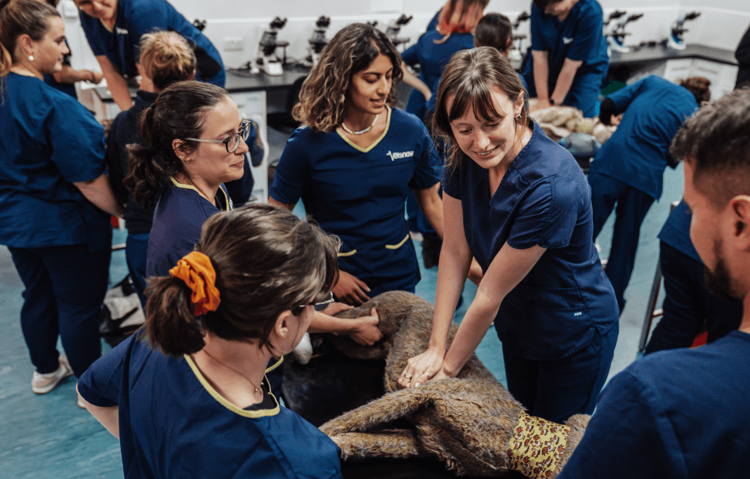 What is the Vets Now AdvantEdge programme? – body