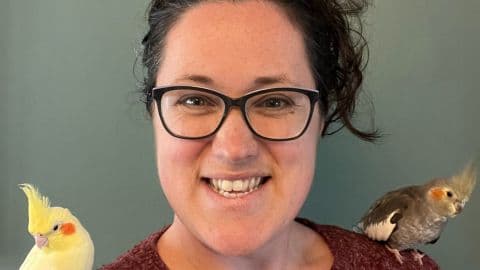 From Cutting Edge to leading Edge: Anneka’s ECC journey – hero