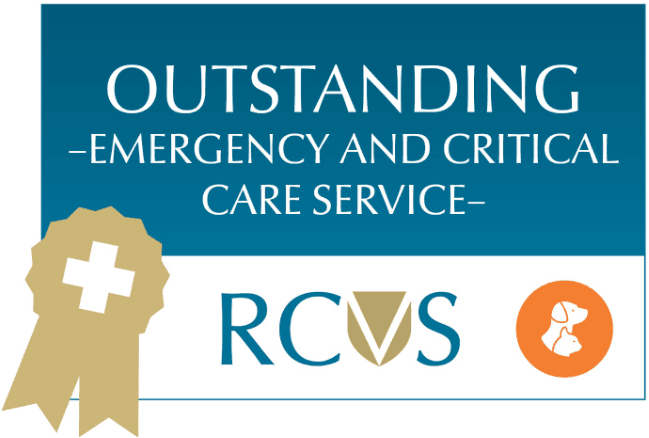 Outstanding emergency and critical care RCVS