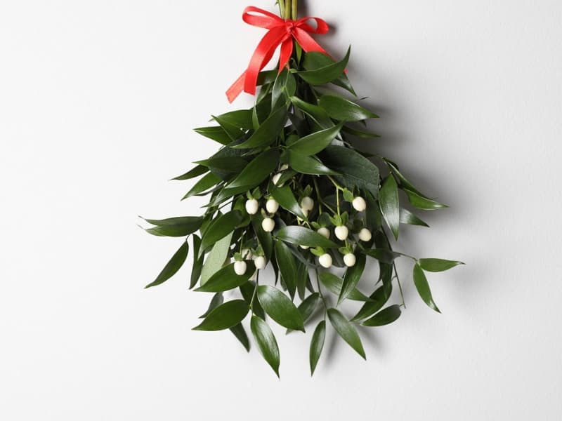 Traditional-Mistletoe-Decor