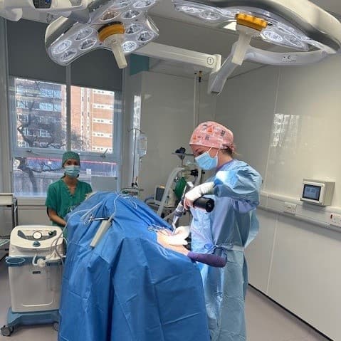 Surgery in theatre at Vets Now Glasgow